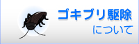 ゴキブリ駆除について