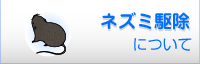 ネズミ駆除について