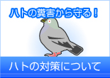 ハトの糞害から守る！ ハトの対策について